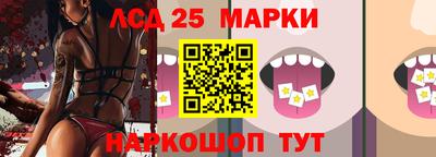 мет Камышлов