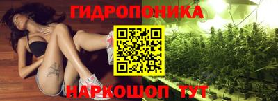 сатива Кандалакша