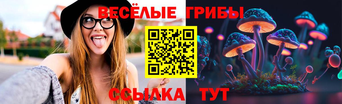 Курчатов  Галлюциногенные грибы Psilocybine cubensis  даркнет сайт  Псилоцибиновые грибы Psilocybe  Вход с VPN 